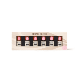 Perma Blend Luxe PMU Ink – Ready, Set, Go PreModified Set 6x15ml (EU REACH Version).