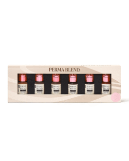 Perma Blend Luxe PMU Ink – Ready, Set, Go PreModified Set 6x15ml (EU REACH Version).