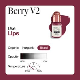 Perma Blend Luxe PMU Ink – Berry v2 15ml (EU REACH Version)