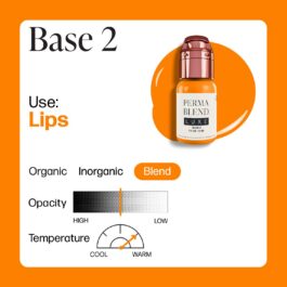 Perma Blend Luxe PMU Ink – Mod 2 15ml (EU REACH Version)